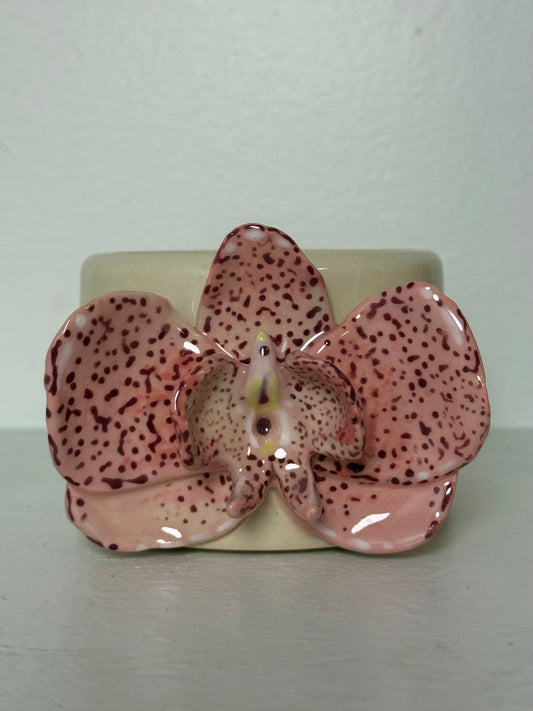 Orchid Cup